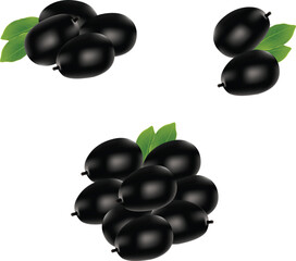 black currant fruit isolated on white background