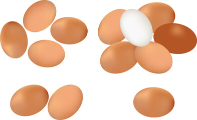 eggs on white background