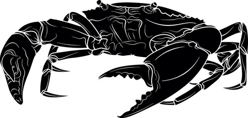 Serrated mud Crab silhouette
