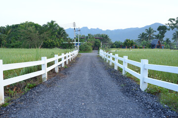 Roads in tourist accommodations in rice fields