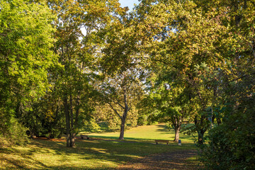 Fototapeta premium bench in the park