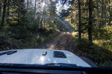 A Jeep drives up a 4x4 trail in Colorado's San Juan Mountains. © Cavan
