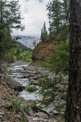 Naklejka na ściany i meble A mountain river fed by snowmelt in Colorado's San Juan Mountains.