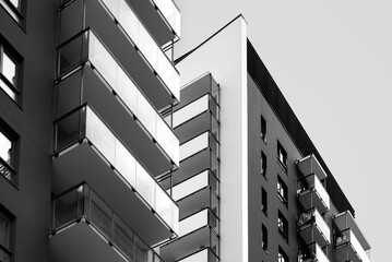 Minimalist Monochrome Homes: Sleek and Contemporary Residences.