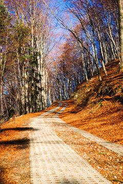 Trail in mountains in late autumn