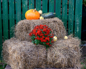 still life with various autumn accessories