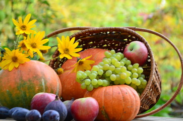 Assortment of fruits, grapes and nuts. Autumn seasonal harvest. pumpkin apples, red, yellow leaves. food still life with season fruits. Thanksgiving day, Halloween decoration fall design