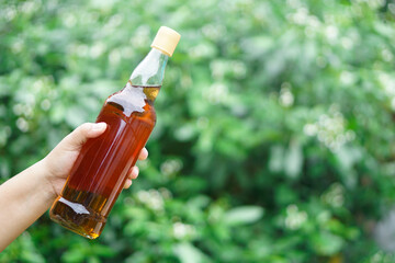 Close up hand hold transparent bottle which contains honey inside, outdoor background. Concept,...