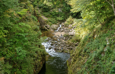 Fototapeta premium 宮城県仙台市秋保大滝近くの名取川の風景です