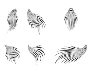 Obraz premium bird's tail sketch illustration, front angle view.