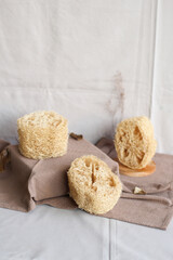 Luffa or Loofah. Eco-friendly vegetable sponge, zero waste. Sustainable bathroom and lifestyle, plastic-free and eco-friendly concept.