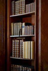 Vienna, Austria, October 2023: Old bookcase with the leather-bound book covers in State Hall of...