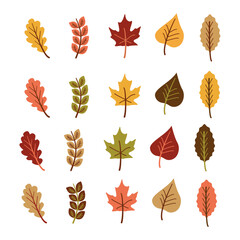 Autumn leaves. Colorful floral collection.  Seamless pattern autumn leaves. Thanksgiving