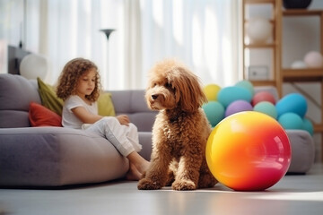 Dog pets home person friendship cute adorable kid puppy animal indoor children girl