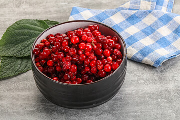 Ripe sweet wild organic cowberry