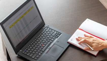 Shot of a woman working on the laptop showing an excel sheet on the screen with bank loan...