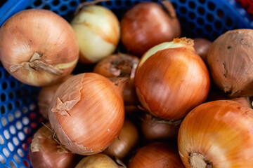 Obraz premium Onions are used as spices and ingredients for cooking, have a large round shape and dense flesh. Fresh vegetables and fruites at local markets allow you to prepare healthy and healthy natural foods. 