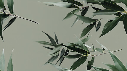 Bamboo leaves pattern High-definition, seamless texture