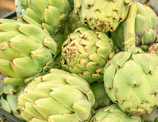 Obraz premium Green french artichoke flowers buds on the farm market stall.