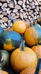 pumpkins and gourds