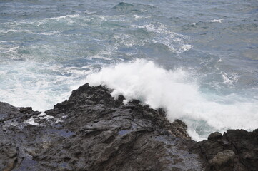 Blowhole