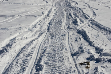 tracks in the fresh snow - obrazy, fototapety, plakaty