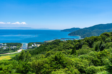 Fototapeta na wymiar 叶岳ふれあいの森展望台からの風景