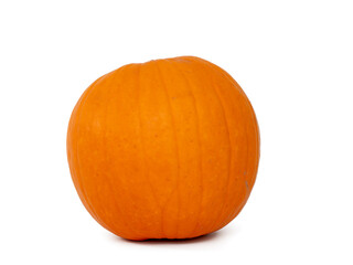 Pumpkin on a white background. Large pumpkin close-up.