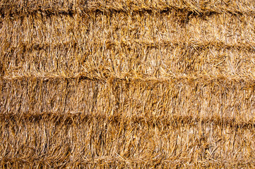 Haystacks. Hay bales in the agricultural field. Hey bales. Harvest time concept. It's about...