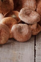 Orange edible mushrooms. Niscalos or rovellons (Lactarius deliciosus) on white wooden background.