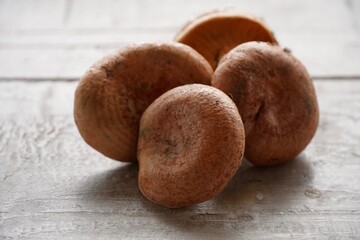 Edible orange mushrooms. Isolated Niscalos (Lactarius deliciosus) on a white wooden background.