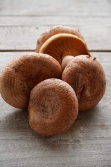 Edible orange mushrooms. Isolated Niscalos (Lactarius deliciosus) on a white wooden background.