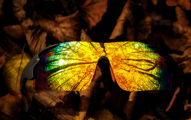 autumn forest reflections in sport rainbow cycling glasses