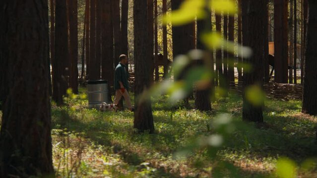 Man walks with dog in park on summer day. Stock footage. Man walks dog on leash in woods on sunny summer day. Man walks with Jack Russell terrier at recreation center in woods