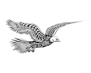 sketch illustration of a flying eagle flapping its wings. side view.