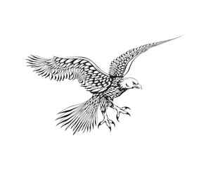 sketch illustration of a flying eagle flapping its wings.
attacks with its claws. side view.