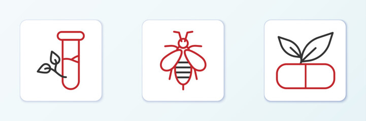 Set line Medical pill with plant, Laboratory glass and leaves and Bee icon. Vector