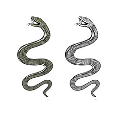 Snake Design Illustration vector eps format , suitable for your design needs, logo,