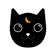 Smiling mysterious cat with a moon eye.