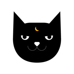 Angry black magic cat with halfmoon