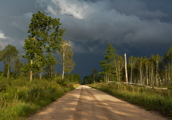 Road and Forest Before Thunderstorm  - obrazy, fototapety, plakaty