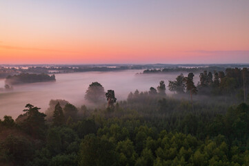 Aerial View of Forest