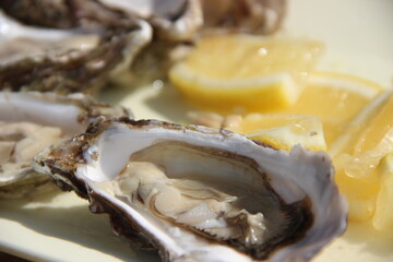 oysters