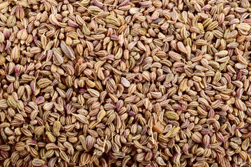 Top view of carom seed texture background