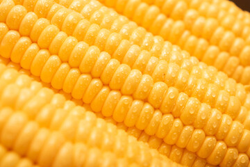 Closeup texture of wet corn background