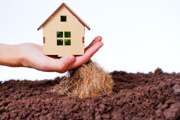 Rooted House: New Home and Relocation Concept