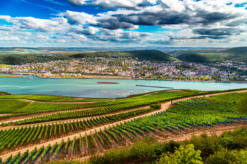 Blick auf Bingen