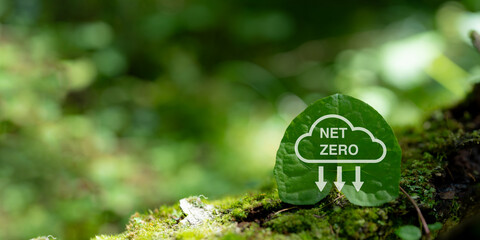 Net zero and carbon neutral concept. Greenhouse gas emissions target. Low carbon emissions. Climate neutral long term strategy. Limit global warming. Net zero on green view background. - obrazy, fototapety, plakaty