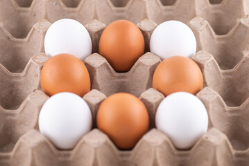 Egg box, stock photo, empty egg carton, close up of eggs. A brown egg among white egg
