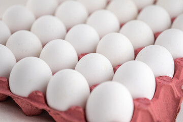 Egg box, stock photo, empty egg carton, close up of white eggs